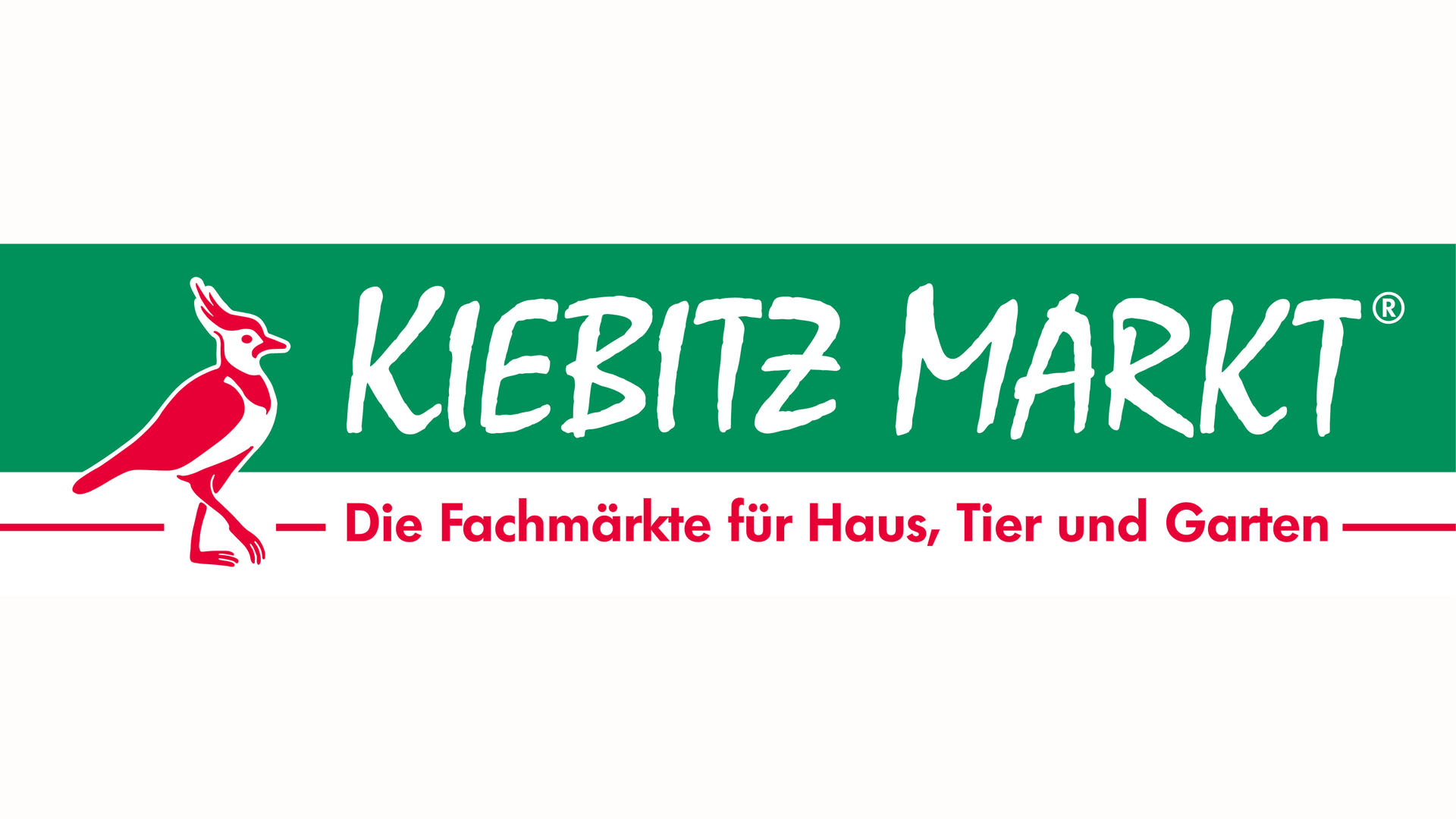 MCT Handelsgesellschaft mbH, Kiebitzmarkt Haren LED